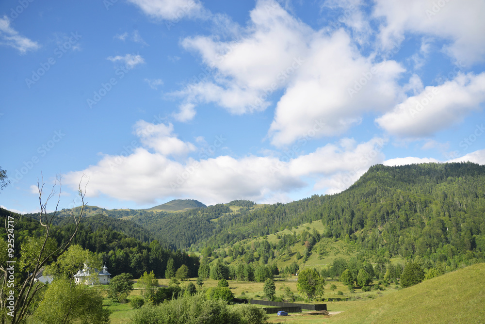 Naklejka premium beautiful landscape