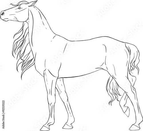 Coloring book with a horse