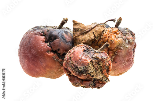 Three rotten apples with wrinkles and spots on white background
