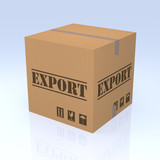 Export Cardboard Box