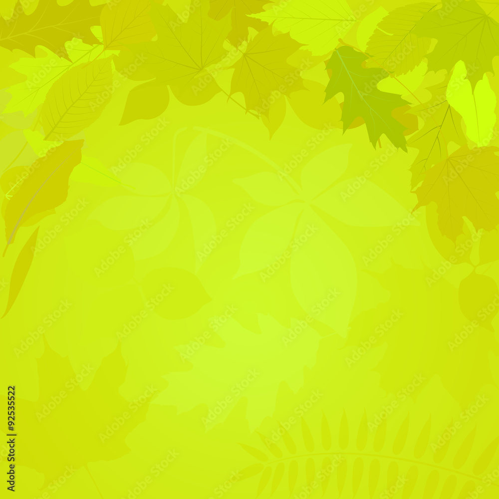 green background with leaves green background with leaves