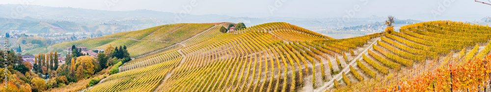 Panoramic view of the Langhe vineyards and hills