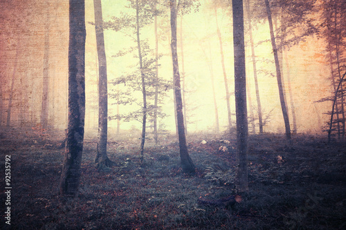 Grunge scary yellow red colored foggy forest landscape background. Grunge filter effect used.
