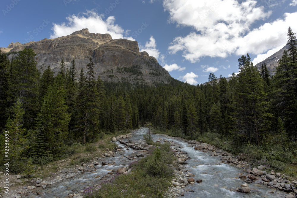 Fototapeta premium Mosquito Creek, Canada