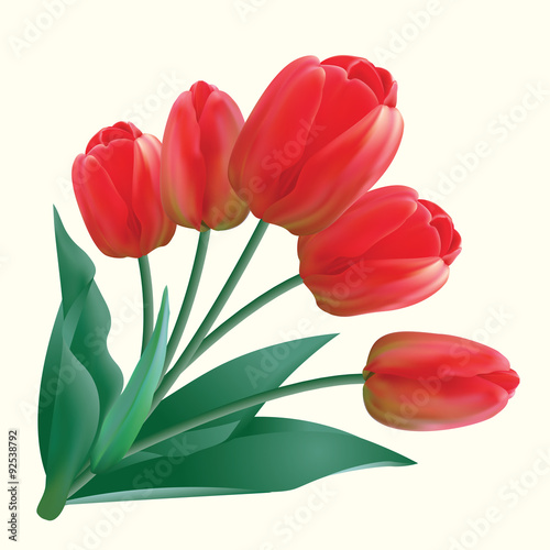 Fototapeta Naklejka Na Ścianę i Meble -  bouquet of red tulips