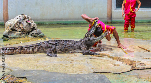 The crocodile show photo