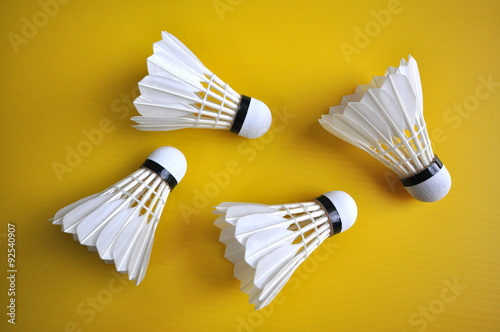 Group of Shuttlecock