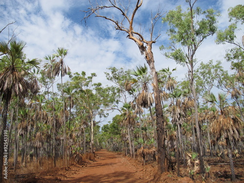 mitchell falls, kimberley, western australia