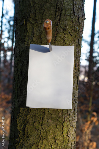White paper sheet on tree trunk