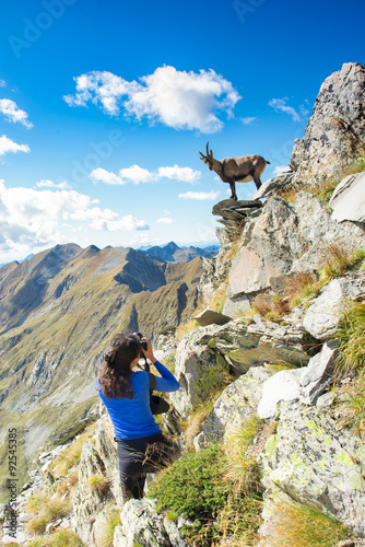 Girl hiker photographer ibex in the mountains