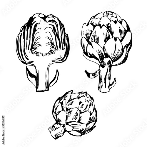 Hand drawn ink set of artichoke