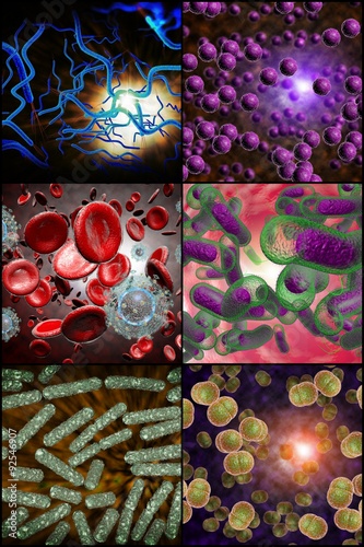 Bacteria Infection Collage photo