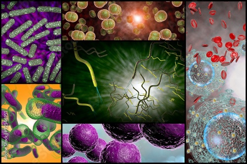 Bacteria Infection Collage photo