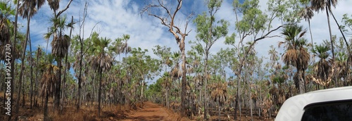 mitchell falls, kimberley, western australia photo