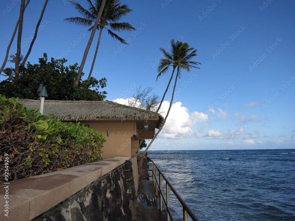 Concrete path with metal railing along cliff shore with coconut