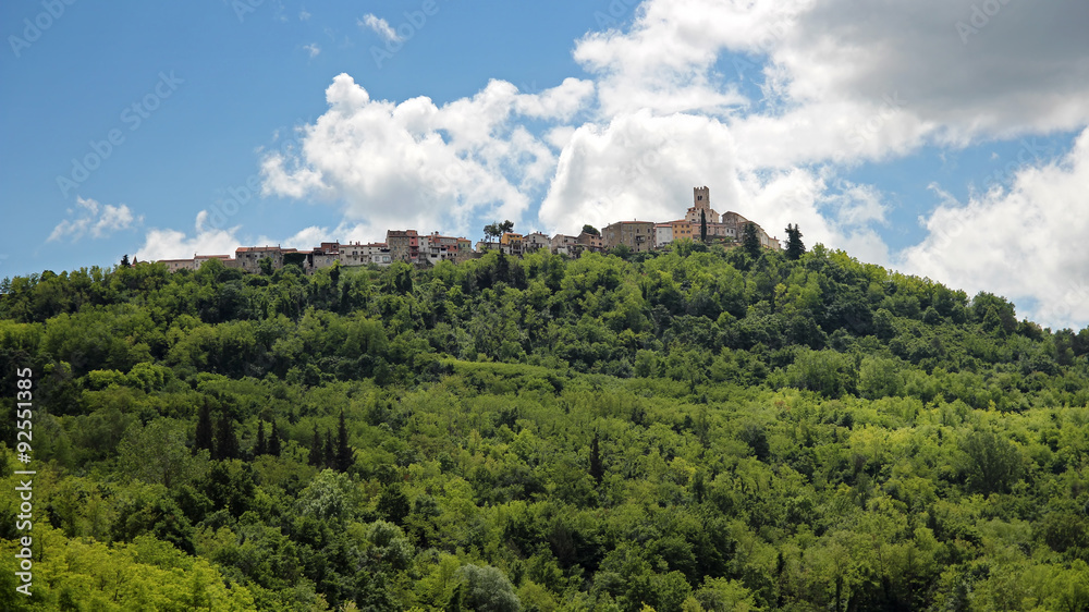 Landscape With Hill, Forest And Old Town Architecture