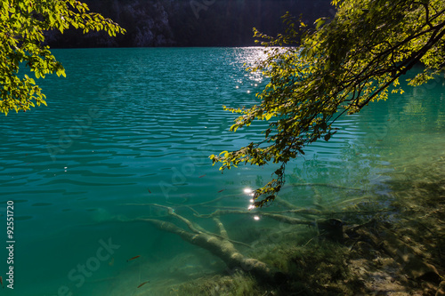 Fototapeta Naklejka Na Ścianę i Meble -  Virgin nature of Plitvice lakes national park, Croatia