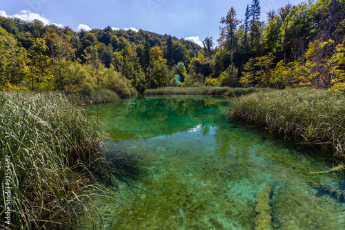 Virgin nature of Plitvice lakes national park, Croatia