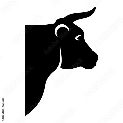 Cow head 005