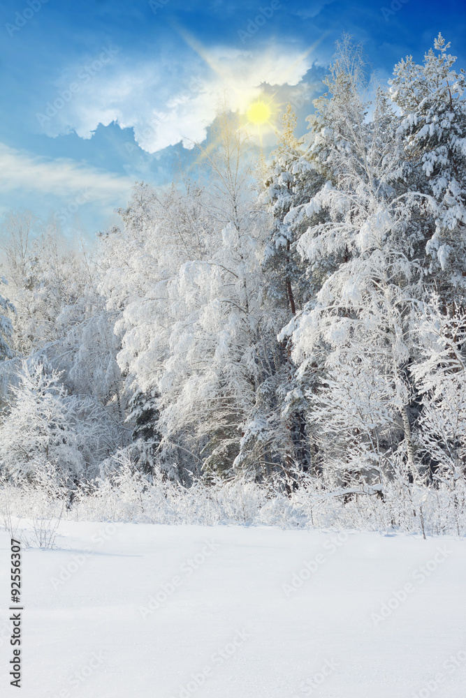 Winter landscape with snowy trees after snowstorm Winter landscape with snowy trees after snowstorm