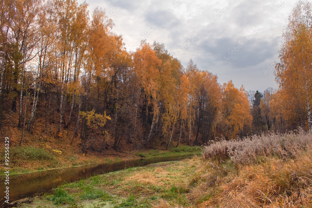 Fototapeta premium mellow autumn on river bank