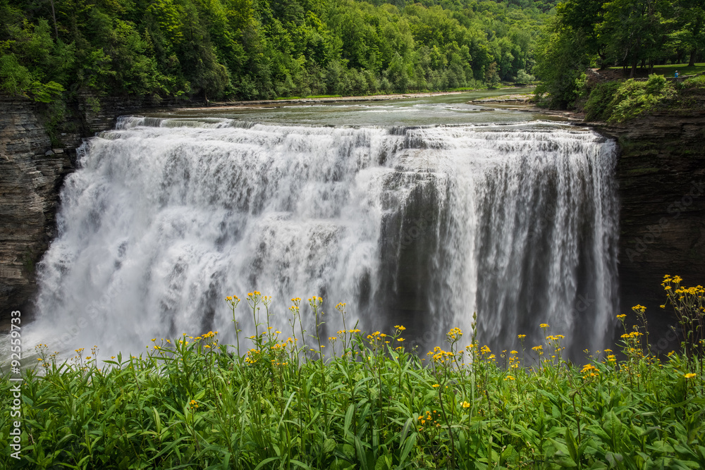 Fototapeta premium Middle Falls of the Genesee River, Letchworth State Park, Portageville, NY