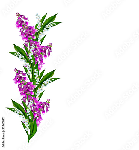 blue flowers campanula isolated on white background