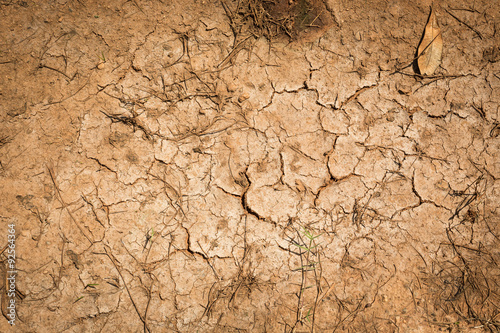 Obraz na plátně Crack soil dry season on sand background.