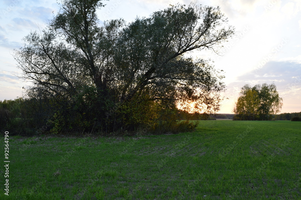 Naklejka premium Осенний вечер 