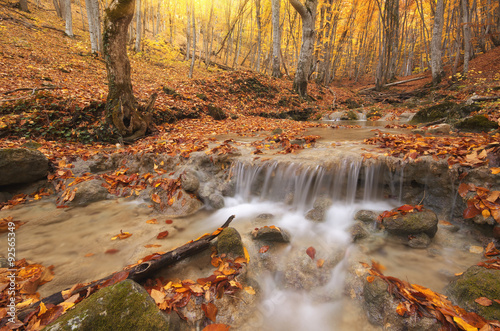 Fototapeta Naklejka Na Ścianę i Meble -  Autumn landscape.