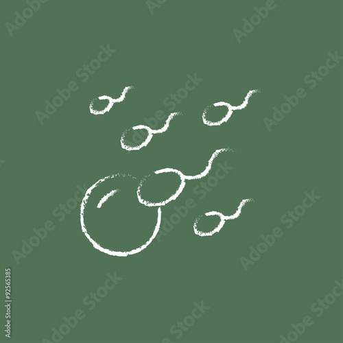 Fertilization icon drawn in chalk.