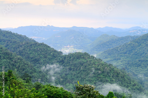 Forest, mountain and sky