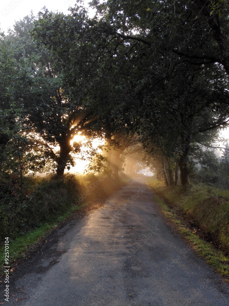 Fototapeta premium Sunrise on Camino de Santiago