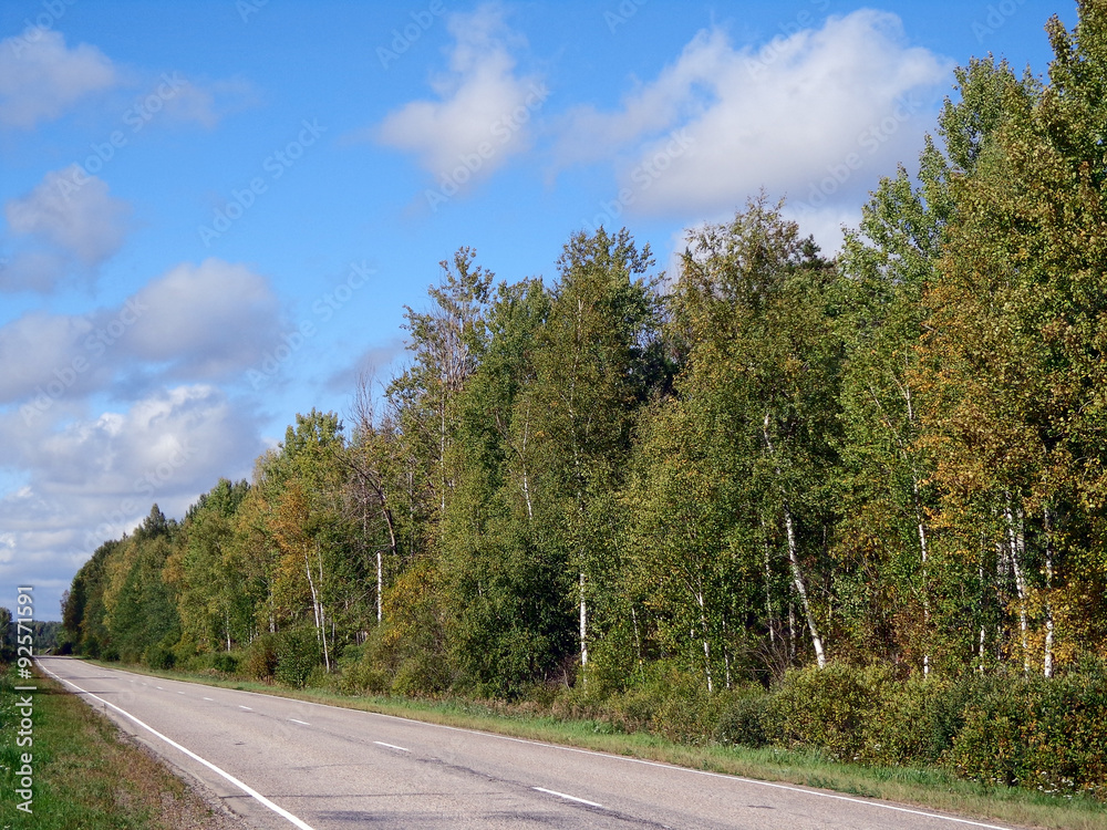 Fototapeta premium Road