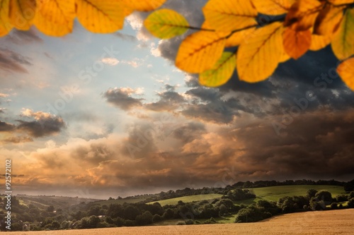 Composite image of autumn leaves