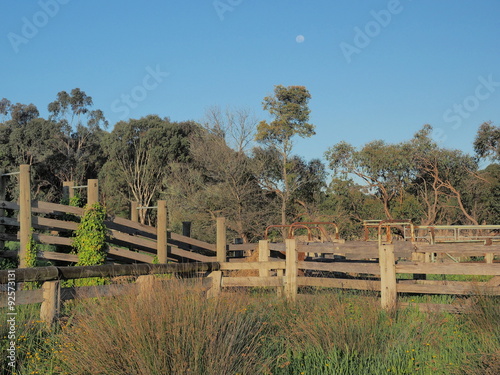 Fototapeta Naklejka Na Ścianę i Meble -  Moon over a desolate cattle loading ramp at a vacated farmland paddock countryside Victoria, Australia 2015