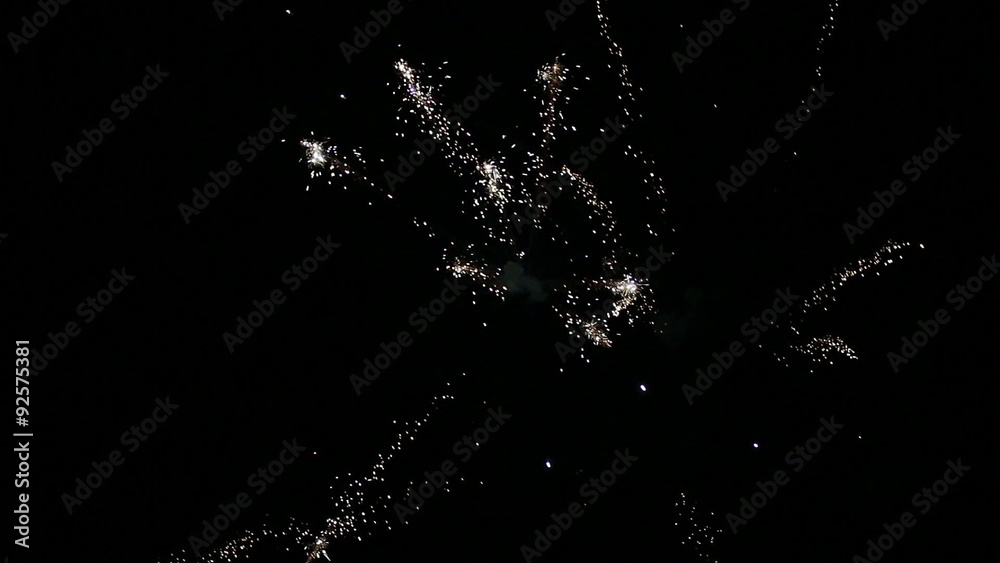 Fireworks in the Night Sky Fireworks in the Night Sky