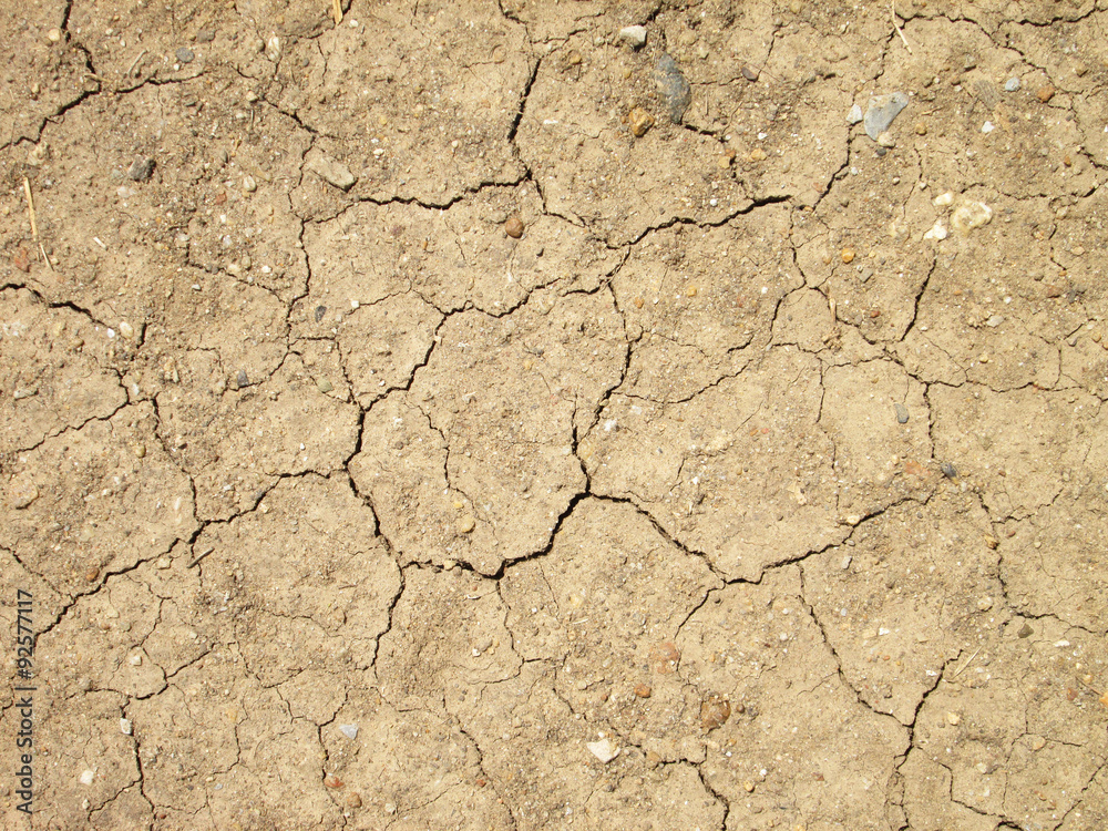 Fototapeta premium cracks in the ground