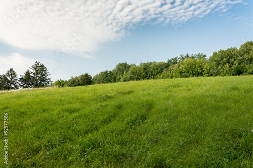 green field