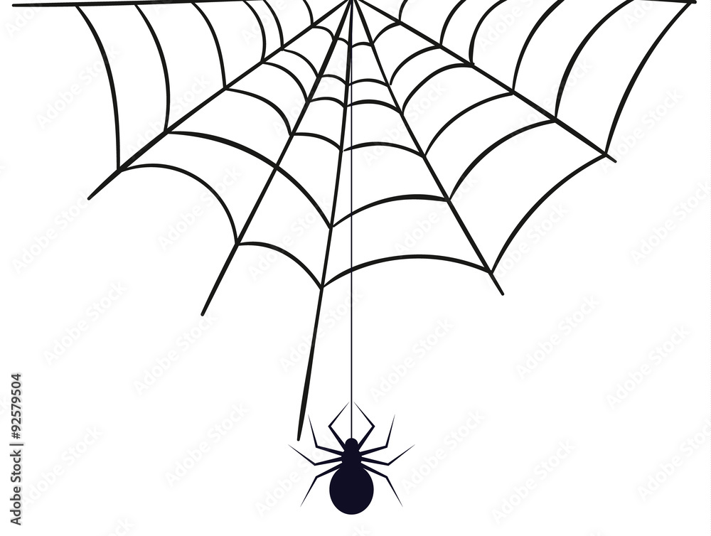 Spinnennetz Spinnenweben Spinne Spider Stock Vector | Adobe Stock