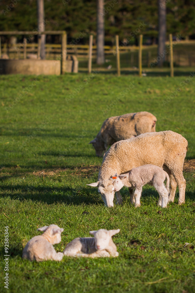 Obraz premium every child needs love