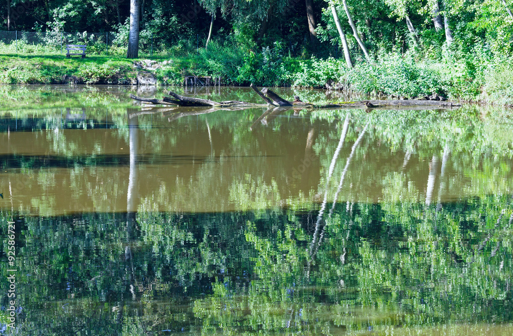 Obraz premium Summer lake.