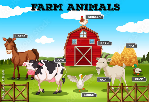 Farm animals living in the farm