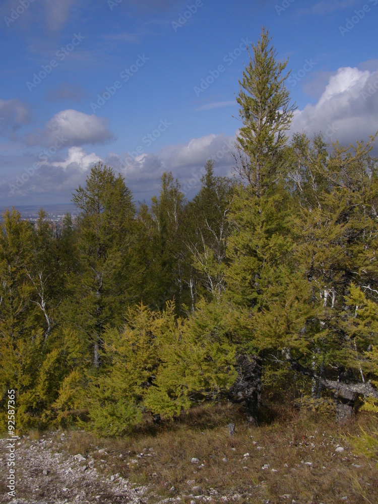 Obraz premium Торгашинский хребет