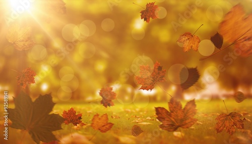 Composite image of autumn leaves pattern