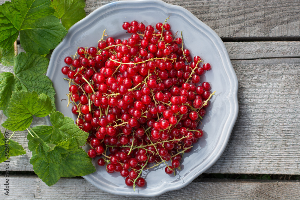 red currant