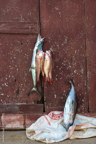 Photography Hanging fishes