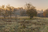 Early autumnal morning in rural village Pidstavky, Sumskaya oblast, Ukraine
