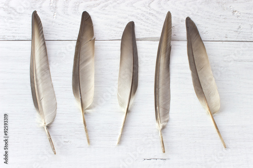 Feathers on white wooden background