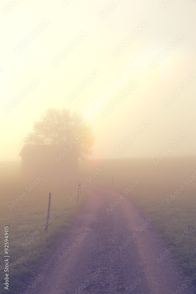 Weg im Nebel